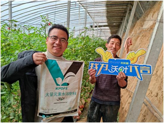 水溶肥哪一個(gè)廠的好-夫沃施沃葉用戶見證 (1).png