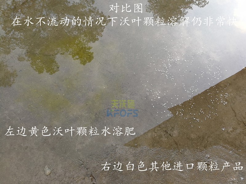 顆粒水溶肥哪個(gè)品牌好-沃葉顆粒水溶肥.jpg