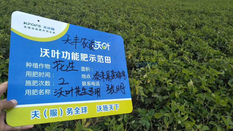 花生增產(chǎn)葉面肥用哪些好？