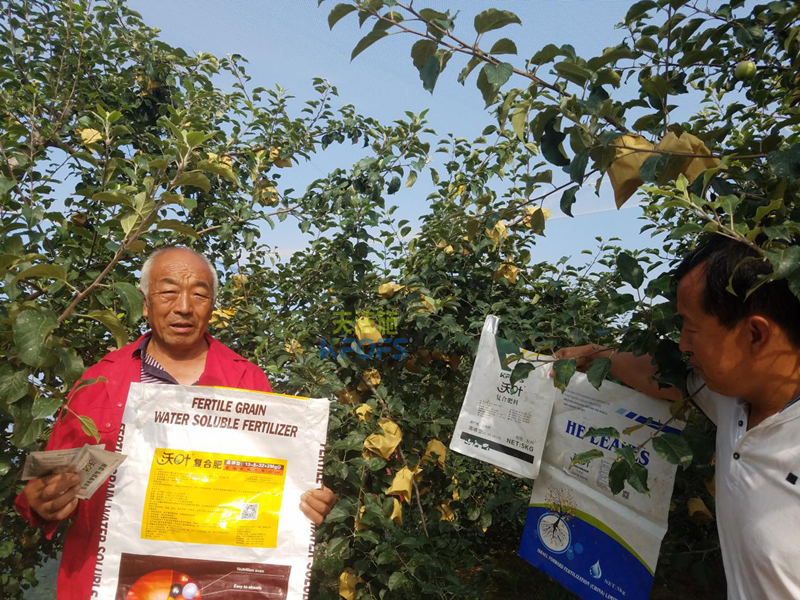 蘋果樹施什么肥好？