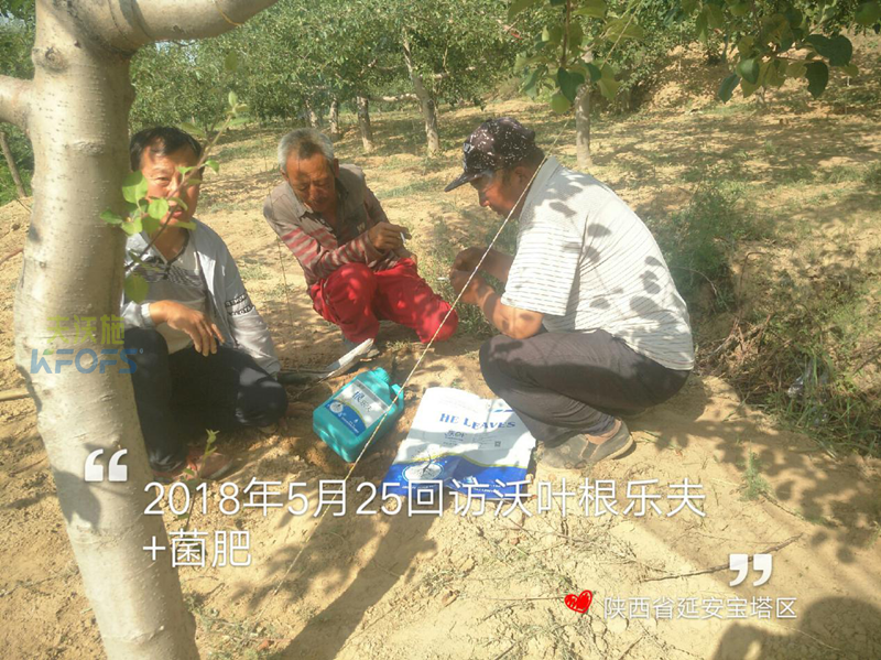 生根劑使用方法！