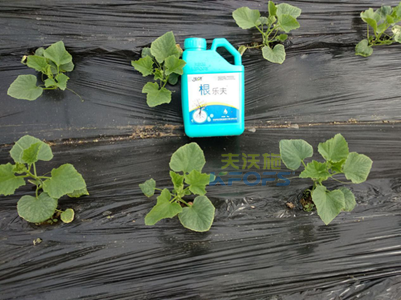 什么生根劑好？