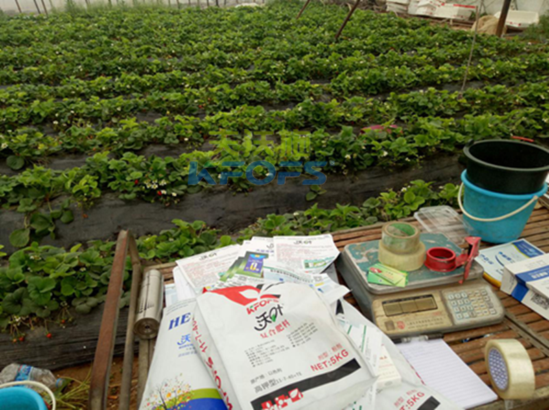 復合肥怎么使用？