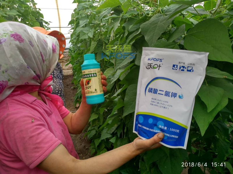 豆角需要什么樣的沖施肥？