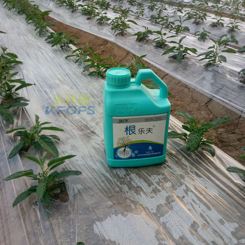 沖施肥哪家好-來(lái)自農(nóng)資人的真實(shí)經(jīng)歷