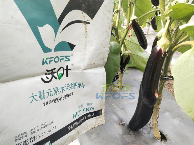 水溶肥是什么肥料？