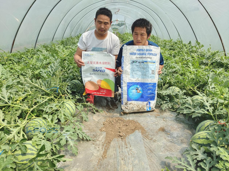 好點的水溶肥大概多少錢？夫沃施這樣說！