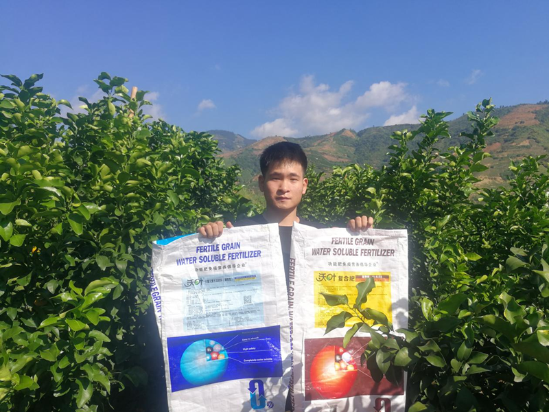 沃葉水溶肥怎么樣？聽聽他們怎么說？