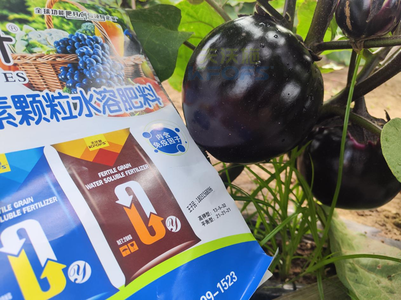 茄子施什么肥長得好