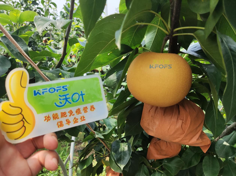 水溶肥怎么選？李總來(lái)幫你支招