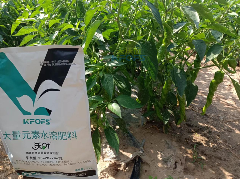大量元素水溶肥-辣椒用沃葉粉劑大量元素.png