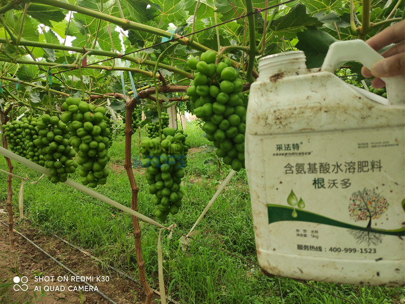 水溶肥怎么選？夫沃施告訴你這幾點