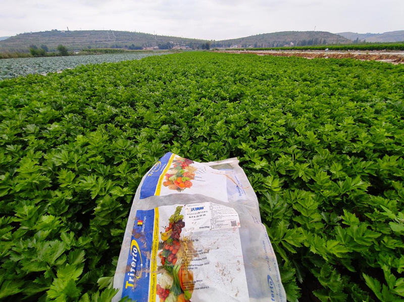 顆粒水溶肥哪家好？