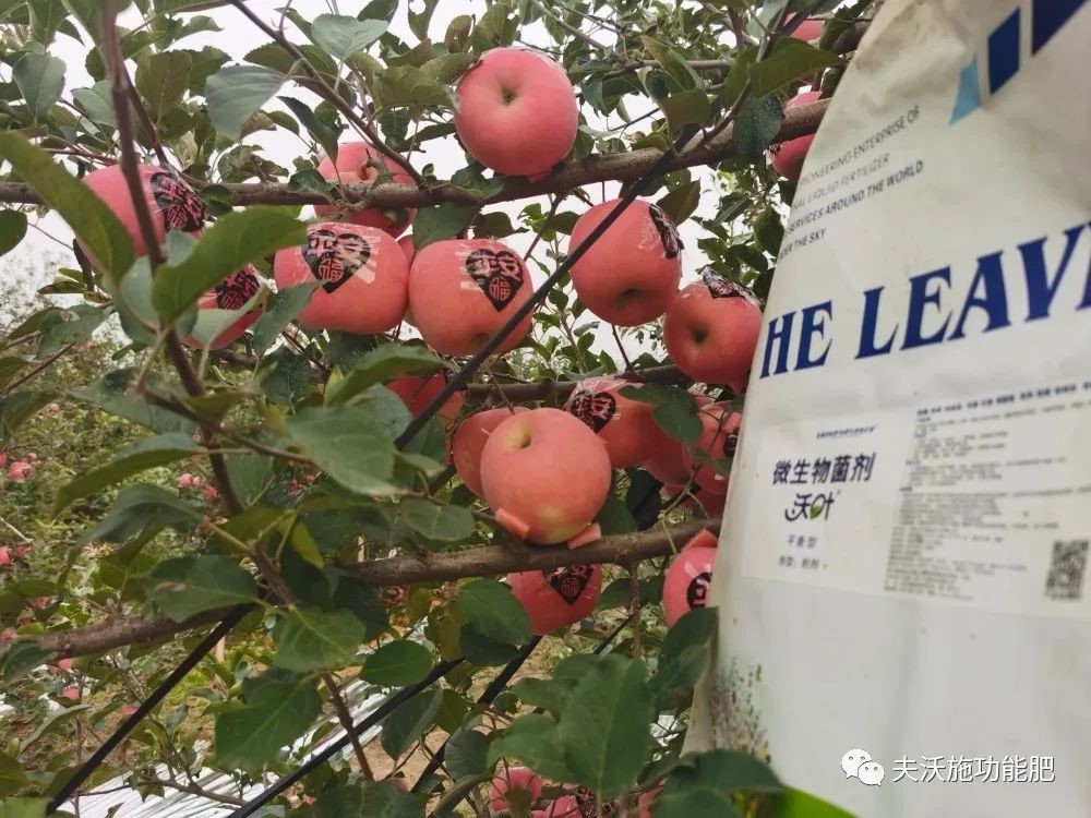 什么肥料能讓土壤變松？