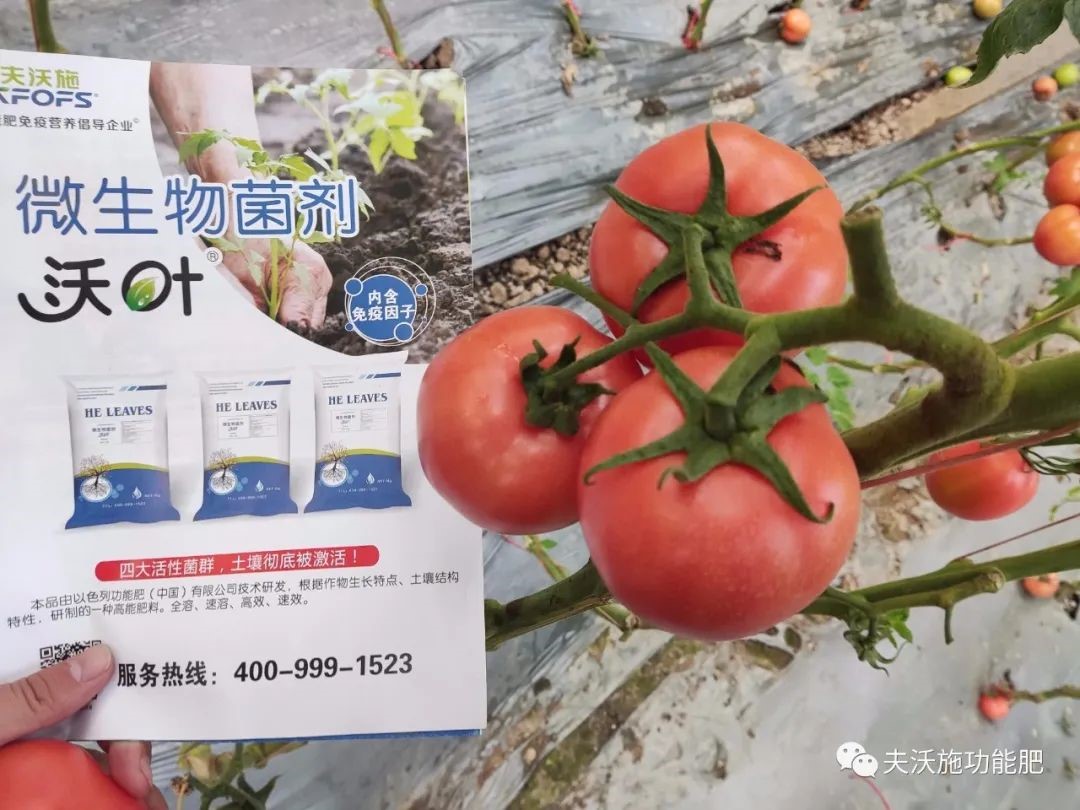 微生物菌劑選哪家？