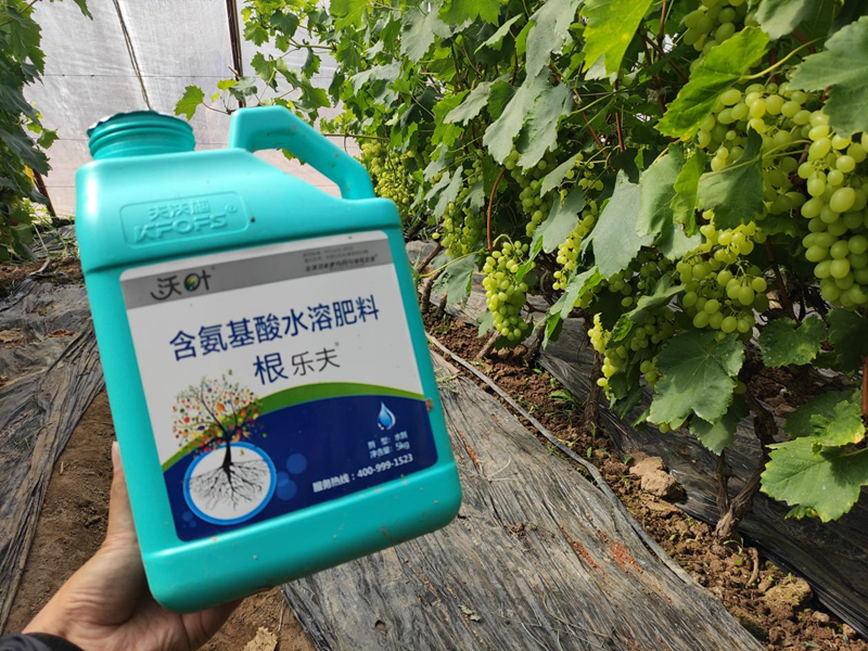 水溶肥選擇，要注意什么?