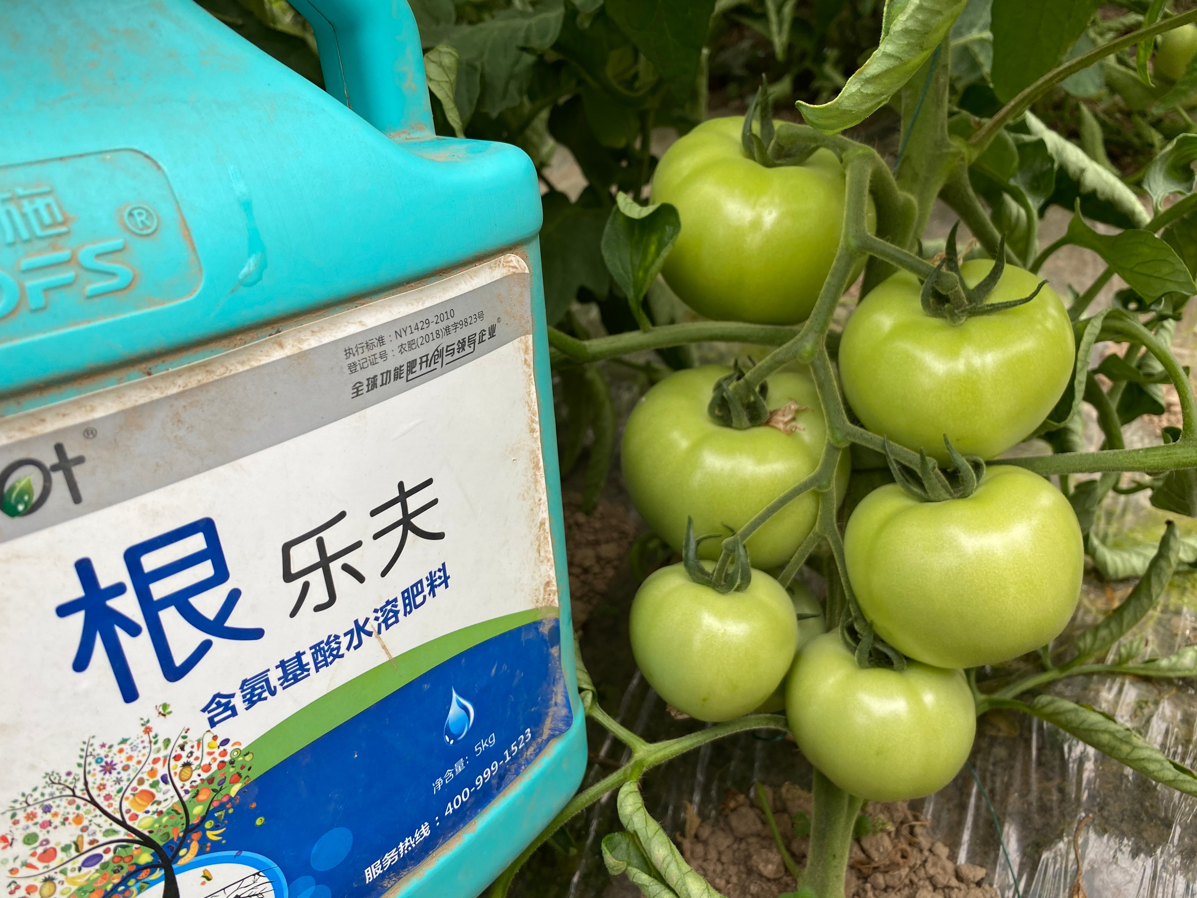 生根劑效果好不好？