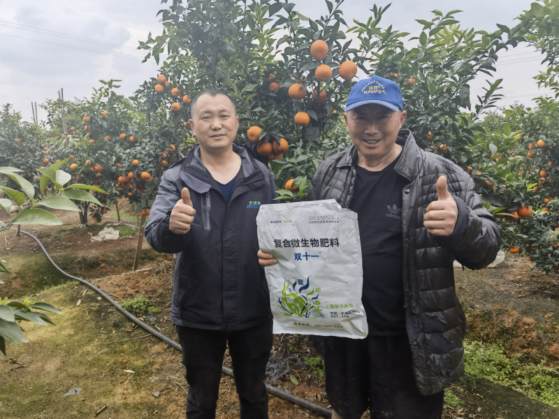 柑橘樹用什么肥料最佳？四川何大爺案例