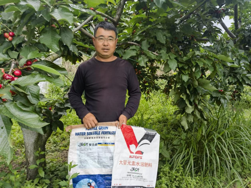 櫻桃月子肥用什么肥料好？