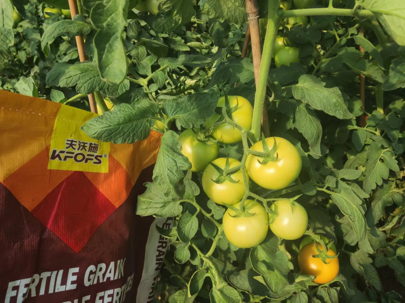 顆粒水溶肥效果怎么樣？