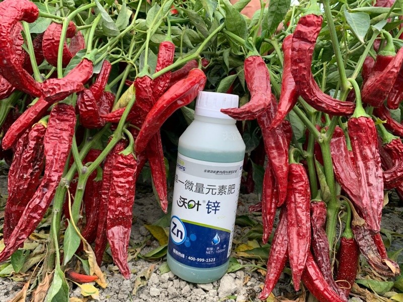 鋅肥作物增產(chǎn)的“利器”