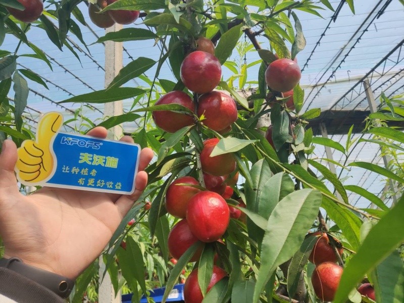 微生物菌劑的作用，你真的了解嗎？