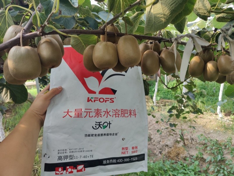 獼猴桃施肥用什么肥料？