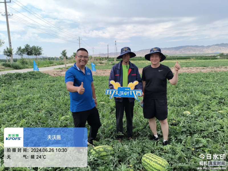 西瓜藥害怎么辦？水溶肥調(diào)理解決