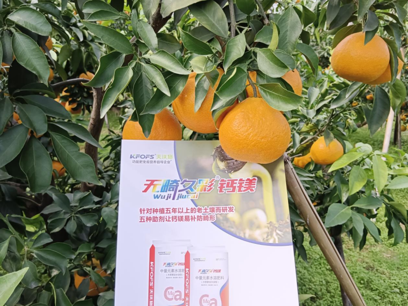 果樹秋施基肥之必要性