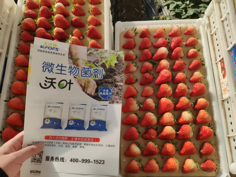 改良土壤的管理科學(xué)方法