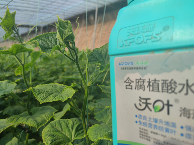 魚(yú)蛋白水溶肥什么時(shí)候用？