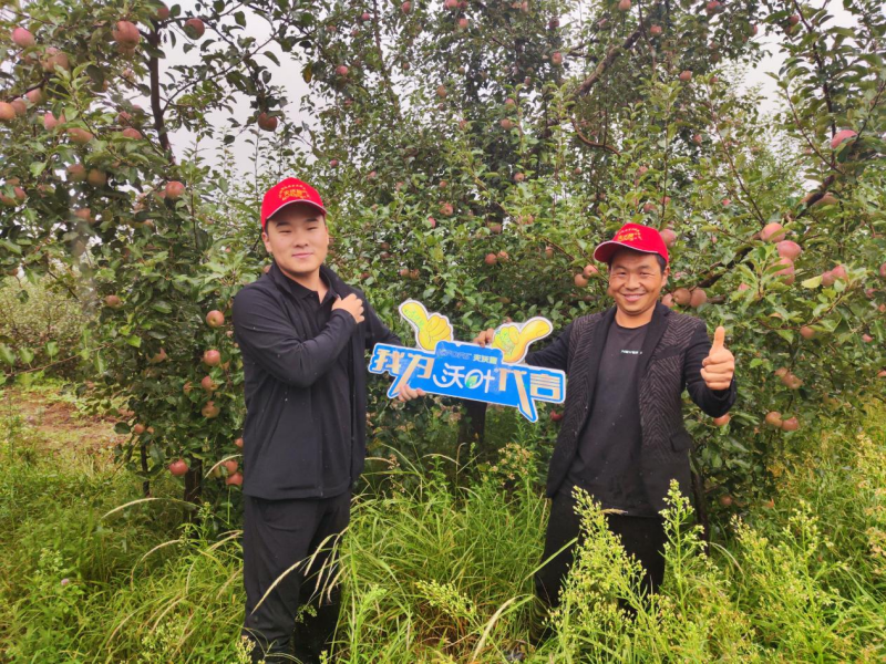 蘋果樹一年施肥列表