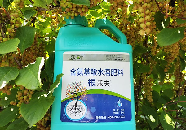 中藥材肥料配方施肥全優(yōu)營(yíng)養(yǎng)方案-沃葉篇